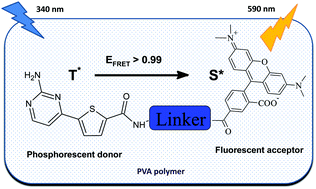 Graphical abstract: Almost complete radiationless energy transfer from excited triplet state of a dim phosphor to a covalently linked adjacent fluorescent dye in purely organic tandem luminophores doped into PVA matrix
