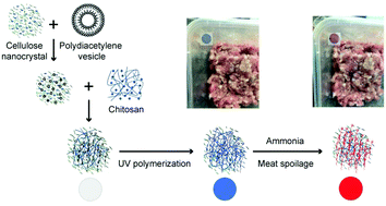 Graphical abstract: Polydiacetylene-based sensors to detect food spoilage at low temperatures