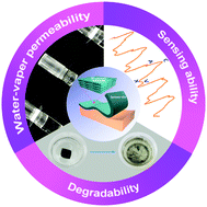 Graphical abstract: Collagen-based breathable, humidity-ultrastable and degradable on-skin device