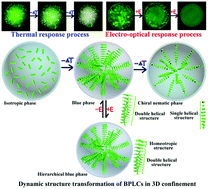 Graphical abstract: Blue phase liquid crystal microcapsules: confined 3D structure inducing fascinating properties