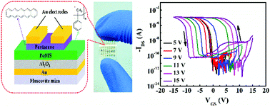 Graphical abstract: A flexible memory with low-voltage and high-operation speed using an Al2O3/poly(α-methylstyrene) gate stack on a muscovite substrate