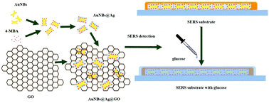 Graphical abstract: SERS detection of glucose using graphene-oxide-wrapped gold nanobones with silver coating
