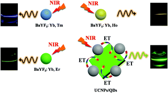 Graphical abstract: Strong upconversion emission in CsPbBr3 perovskite quantum dots through efficient BaYF5:Yb,Ln sensitization