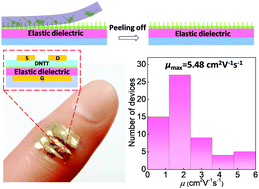 Graphical abstract: A facile post-peeling modification approach of elastic dielectrics for high-performance conformal organic thin-film transistors