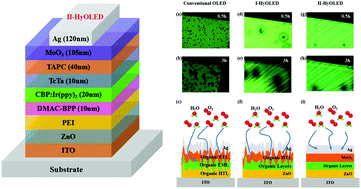 Graphical abstract: An efficient and stable hybrid organic light-emitting device based on an inorganic metal oxide hole transport layer and an electron transport layer