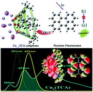 Graphical abstract: Formation of Cu3,4(TCA), making the TCA complex a highly selective probe for Cu2+ detection: a TDDFT study