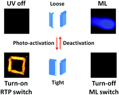 Graphical abstract: Photo-induced phosphorescence and mechanoluminescence switching in a simple purely organic molecule