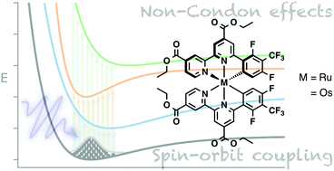 Graphical abstract: Capturing the interplay between spin–orbit coupling and non-Condon effects on the photoabsorption spectra of Ru and Os dyes