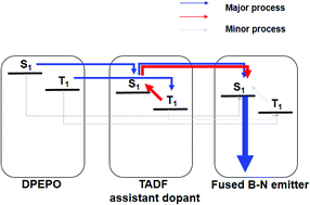 Graphical abstract: Ideal blue thermally activated delayed fluorescence emission assisted by a thermally activated delayed fluorescence assistant dopant through a fast reverse intersystem crossing mediated cascade energy transfer process