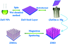 Graphical abstract: AgNPs decorated Mg-doped ZnO heterostructure with dramatic SERS activity for trace detection of food contaminants