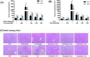 Graphical abstract: Diallyl sulfide treatment protects against acetaminophen-/carbon tetrachloride-induced acute liver injury by inhibiting oxidative stress, inflammation and apoptosis in mice
