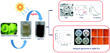 Graphical abstract: Assessment of antioxidant, antibacterial and anti-proliferative (lung cancer cell line A549) activities of green synthesized silver nanoparticles from Derris trifoliata