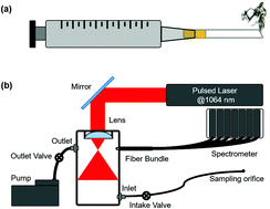 Graphical abstract: On-line detection of radioactive and non-radioactive heavy metals in tobacco smoke using portable laser-induced breakdown spectroscopy