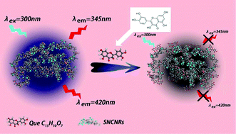 Graphical abstract: Excitation-independent emission carbon nanoribbon polymer as a ratiometric photoluminescent probe for highly selective and sensitive detection of quercetin