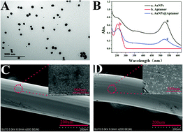 Graphical abstract: A microfluidic chip based ratiometric aptasensor for antibiotic detection in foods using stir bar assisted sorptive extraction and rolling circle amplification