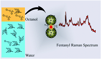 Graphical abstract: Microfluidic analysis of fentanyl-laced heroin samples by surface-enhanced Raman spectroscopy in a hydrophobic medium