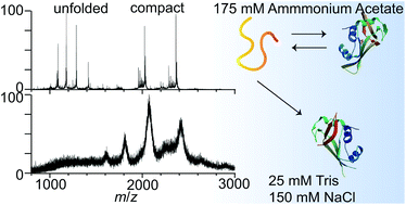 Graphical abstract: Native mass spectrometry beyond ammonium acetate: effects of nonvolatile salts on protein stability and structure