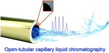 Graphical abstract: Recent advances in open tubular capillary liquid chromatography