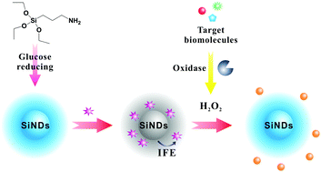 Graphical abstract: One-step rapid synthesis of fluorescent silicon nanodots for a hydrogen peroxide-related sensitive and versatile assay based on the inner filter effect
