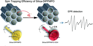 Graphical abstract: Embedding cyclic nitrone in mesoporous silica particles for EPR spin trapping of superoxide and other radicals