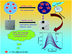 Graphical abstract: A ZnS quantum dot-based super selective fluorescent chemosensor for soluble ppb-level total arsenic [As(iii) + As(v)] in aqueous media: direct assay utilizing aggregation-enhanced emission (AEE) for analytical application