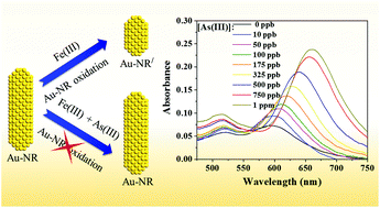 Graphical abstract: Label-free gold nanorod-based plasmonic sensing of arsenic(iii) in contaminated water