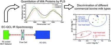 Graphical abstract: High-throughput quantitation of bovine milk proteins and discrimination of commercial milk types by external cavity-quantum cascade laser spectroscopy and chemometrics