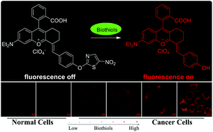 Graphical abstract: A near-infrared biothiol-specific fluorescent probe for cancer cell recognition