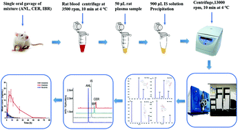 Graphical abstract: A selective and robust UPLC-MS/MS method for the simultaneous quantitative determination of anlotinib, ceritinib and ibrutinib in rat plasma and its application to a pharmacokinetic study