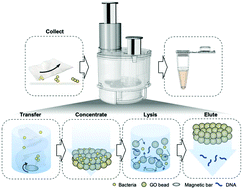 Graphical abstract: Semi-automatic instrumentation for nucleic acid extraction and purification to quantify pathogens on surfaces
