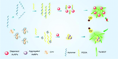 Graphical abstract: Fluorescent aptasensing of chlorpyrifos based on the assembly of cationic conjugated polymer-aggregated gold nanoparticles and luminescent metal–organic frameworks
