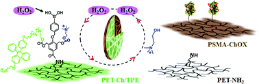 Graphical abstract: Fluorescent fibrous mats assembled with self-propagating probes for visual sensing of hydrogen peroxide and choline