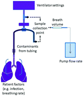 Graphical abstract: Detection and quantification of exhaled volatile organic compounds in mechanically ventilated patients – comparison of two sampling methods