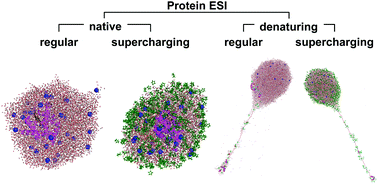 Graphical abstract: Charging and supercharging of proteins for mass spectrometry: recent insights into the mechanisms of electrospray ionization