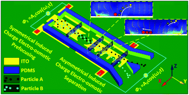 Graphical abstract: Microparticle separation using asymmetrical induced-charge electro-osmotic vortices on an arc-edge-based floating electrode