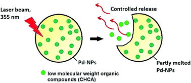 Graphical abstract: One-step encapsulation, storage and controlled release of low molecular weight organic compounds via electroplated nanoparticles