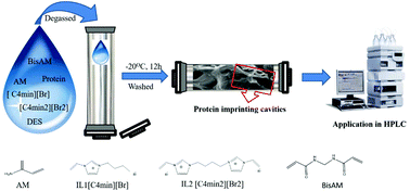 Graphical abstract: Preparation and evaluation of a green solvent-based molecularly imprinted monolithic column for the recognition of proteins by high-performance liquid chromatography