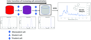 Graphical abstract: An evaluation of monovalent, divalent, and trivalent cations as aggregating agents for surface enhanced Raman spectroscopy (SERS) analysis of synthetic cannabinoids