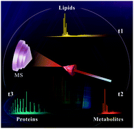 Graphical abstract: Ambient mass spectrometry for the molecular diagnosis of lung cancer