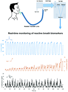 Graphical abstract: Extending PTR based breath analysis to real-time monitoring of reactive volatile organic compounds