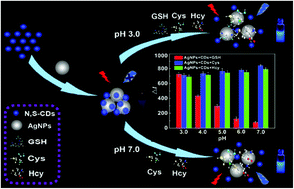 Graphical abstract: pH-Dependent photoluminescence “switch-on” nanosensors composed of silver nanoparticles and nitrogen and sulphur co-doped carbon dots for discriminative detection of biothiols