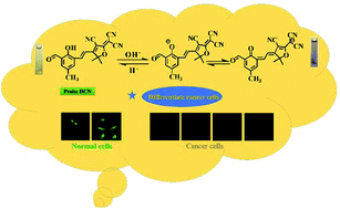 Graphical abstract: A novel water-soluble fluorescent probe with ultra-sensitivity over a wider pH range and its application for differentiating cancer cells from normal cells