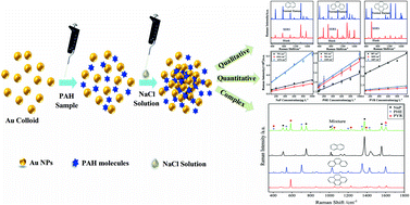 Graphical abstract: Sensitive detection of polycyclic aromatic hydrocarbons with gold colloid coupled chloride ion SERS sensor