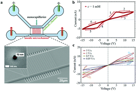 Graphical abstract: A nanofluidic memristor based on ion concentration polarization