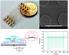 Graphical abstract: Retracted Article: Microelectrochemical cell arrays for whole-cell currents recording through ion channel proteins based on trans-electroporation approach