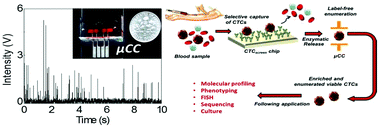 Graphical abstract: Label-free counting of affinity-enriched circulating tumor cells (CTCs) using a thermoplastic micro-Coulter counter (μCC)
