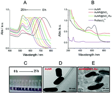 Graphical abstract: A surface-enhanced electrochemiluminescence sensor based on Au-SiO2 core–shell nanocomposites doped with Ru(bpy)32+ for the ultrasensitive detection of prostate-specific antigen in human serum