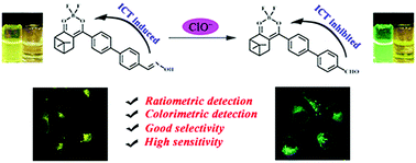 Graphical abstract: A novel nopinone-based fluorescent probe for colorimetric and ratiometric detection of hypochlorite and its applications in water samples and living cells