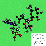 Graphical abstract: Synthesis, application and molecular modeling study of ionic liquid functionalized lactobionic acid, 3-methyl-1-(3-sulfopropyl)-1H-imidazol-3-ium lactobionate, as a chiral selector in capillary electrophoresis