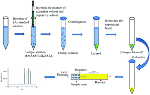 Graphical abstract: A twin enrichment method based on dispersive liquid–liquid microextraction and field-amplified sample injection for the simultaneous determination of sulfonamides